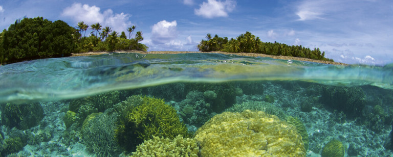 Dimex Kuvatapetti Coral Reef 150x250cm