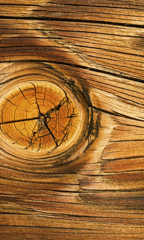 Dimex Kuvatapetti Wood Knot 150x250cm