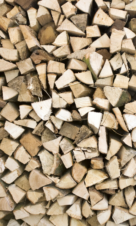 Dimex Kuvatapetti Timber Logs 150x250cm