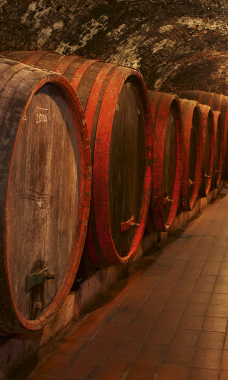 Dimex Kuvatapetti Wine Barrels 150x250cm