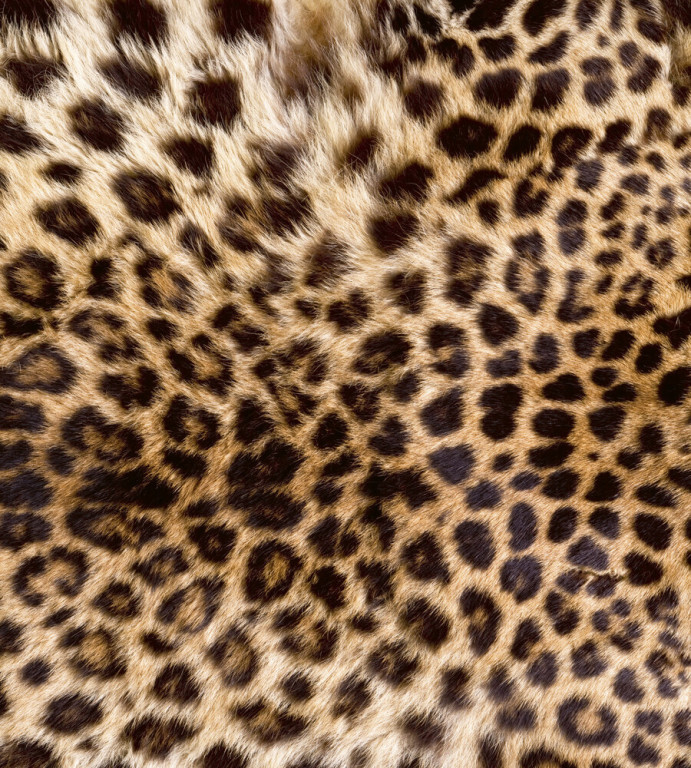Dimex Kuvatapetti Leopard Skin 225x250cm
